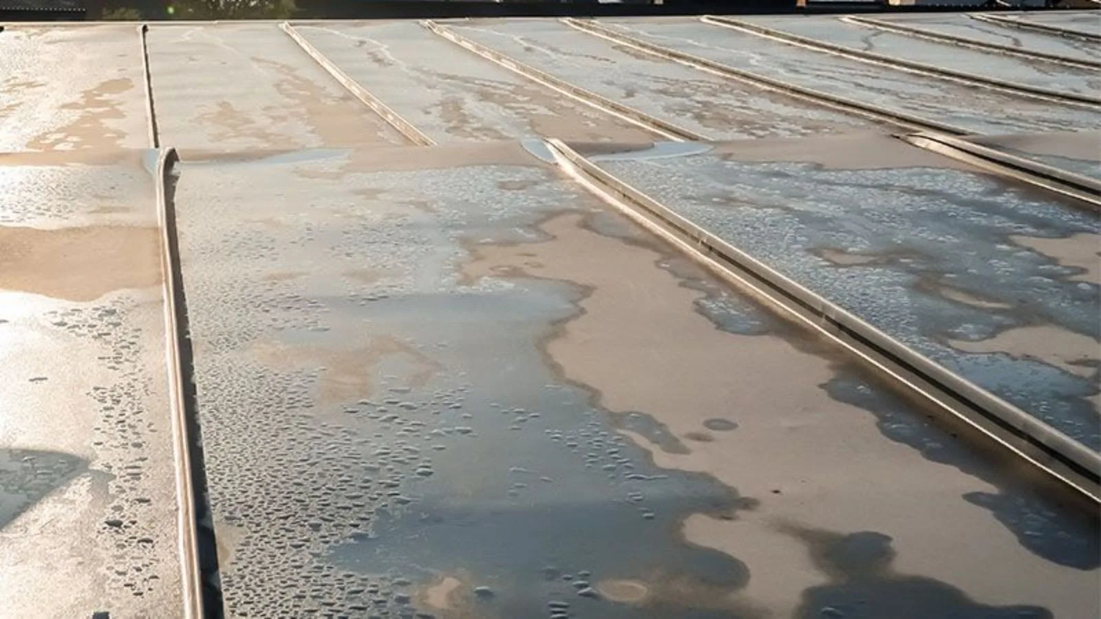 Ponding Water Roof Repair in Costa Mesa, CA