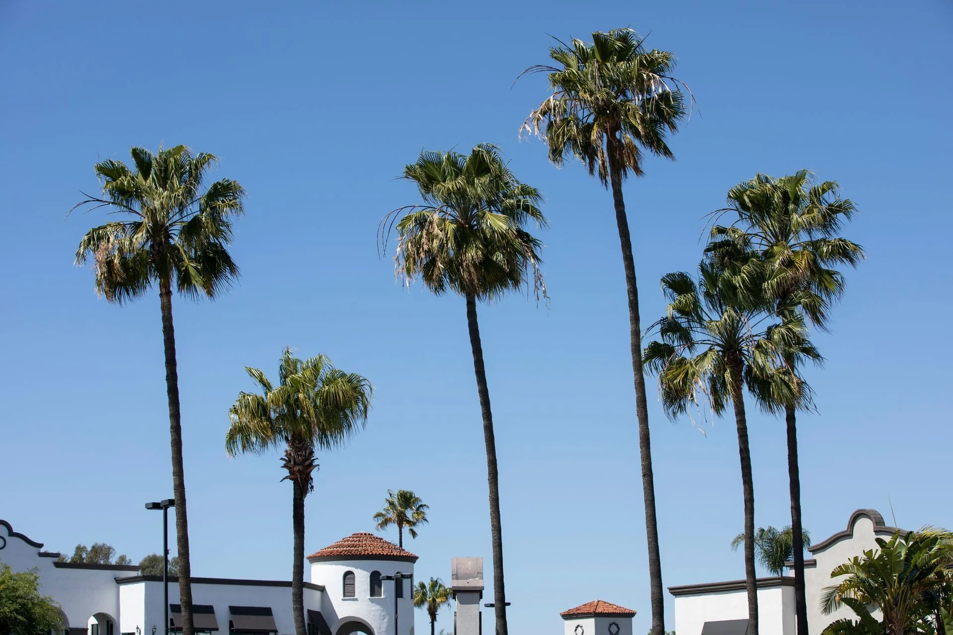 Commercial Roof Service in Cypress, CA